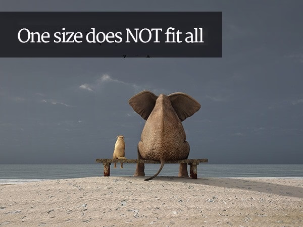 Imagen metafórica de un elefante y un animal pequeño sentados juntos, utilizada para explicar que no existe una talla única al elegir una bomba Bathmate.